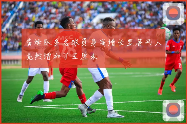 黄蜂队多名球员身高增长显著两人竟然增加了五厘米