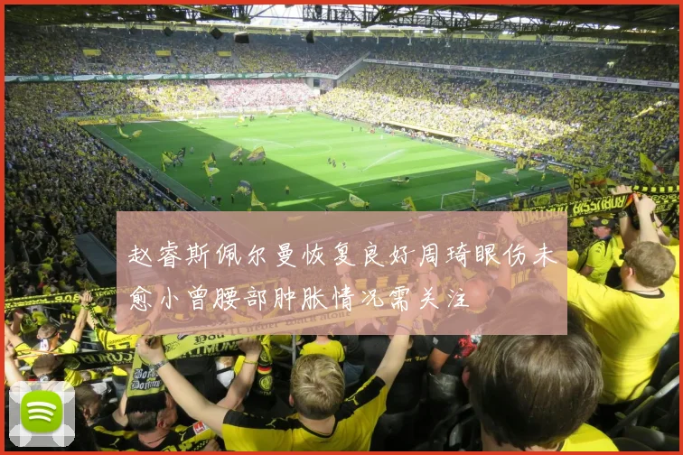 赵睿斯佩尔曼恢复良好周琦眼伤未愈小曾腰部肿胀情况需关注