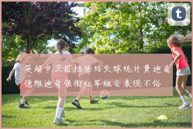 英超中卫搭档场均失球统计费迪南德维迪奇领衔红军组合表现不俗