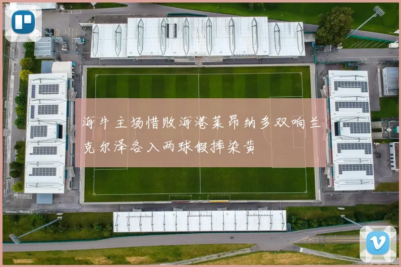 海牛主场惜败海港莱昂纳多双响兰克尔泽各入两球假摔染黄