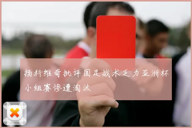 扬科维奇批评国足战术乏力亚洲杯小组赛惨遭淘汰