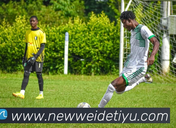 伟德体育服务体系