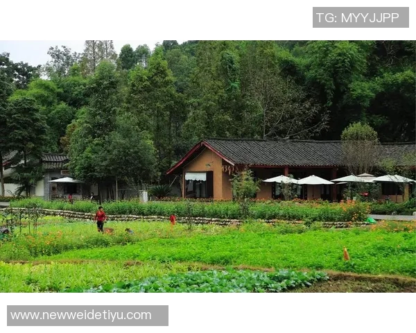 杨舒予分享中秋快乐照片展现独特稀缺库存的乱七八糟魅力 杨舒予分享中秋快乐照片展现独特稀缺库存的乱七八糟魅力